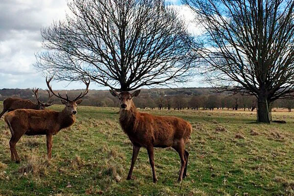 Des photographies insolites